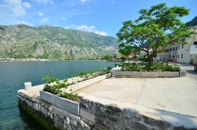 Nikola Lux Apartments Muo Dış mekan fotoğraf