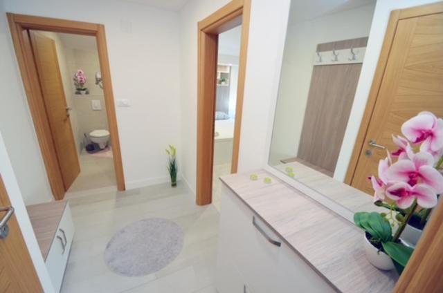 Nikola Lux Apartments Muo Dış mekan fotoğraf