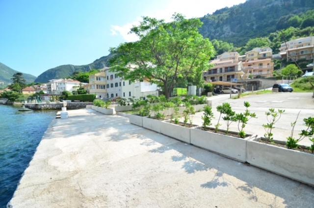 Nikola Lux Apartments Muo Dış mekan fotoğraf