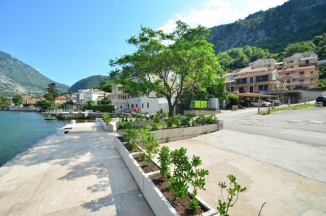 Nikola Lux Apartments Muo Dış mekan fotoğraf